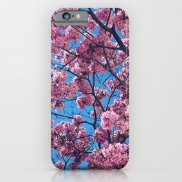 Speed Limit, Cherry Blossom iPhone Case