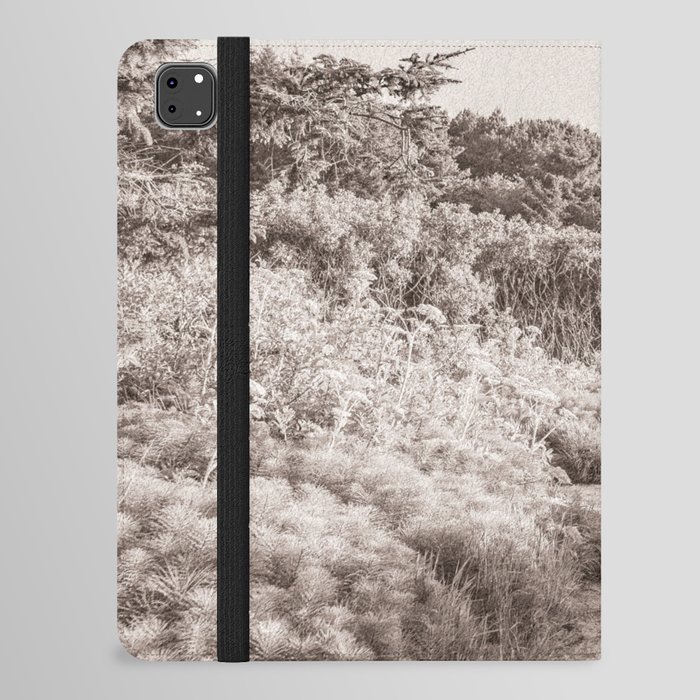 Oregon Coast Vintage Style Photography iPad Folio Case