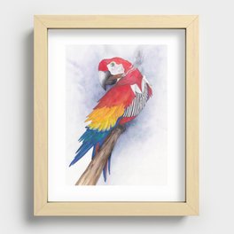 What If...?? Parrots were Gangsters! Recessed Framed Print
