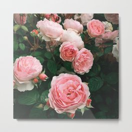 Dark Rose Metal Print | Curated, Leaf, Romantic, Rosegarden, Photo, Flowers, Botanical, Cassiabeck, Nature, Square 