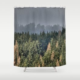  Scottish Highland Pine Forest in the Spring Rain in I Art Shower Curtain