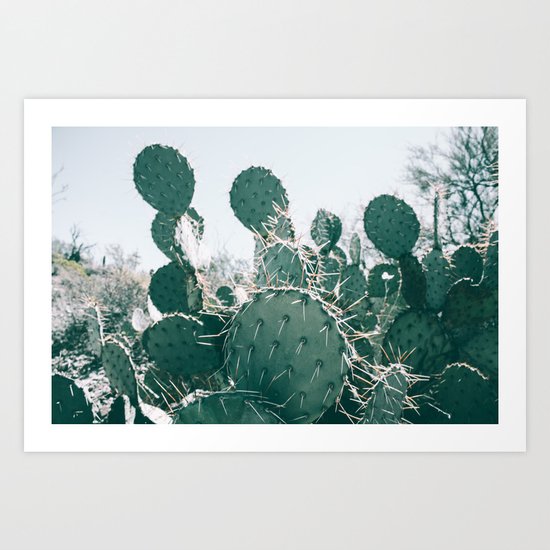 Arizona Cactus II Art Print