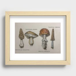 Field Notes: Mushrooms Recessed Framed Print