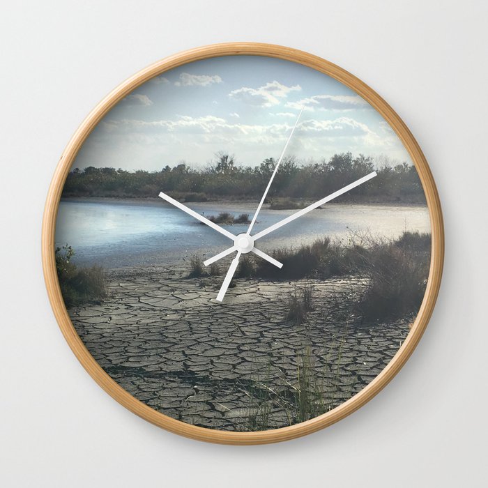 florida desert-like view Wall Clock