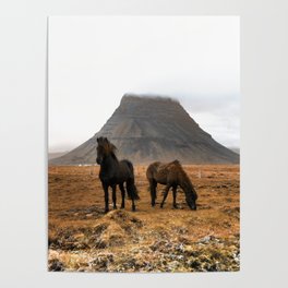 Wild Horses at Kirkjufell Poster