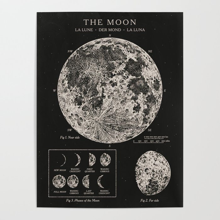 Moon Phases Vintage Poster Poster