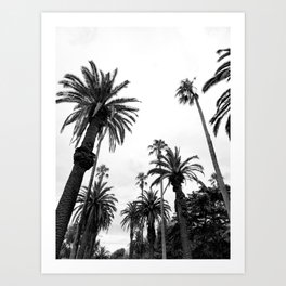 Black and White Palm Trees Art Print