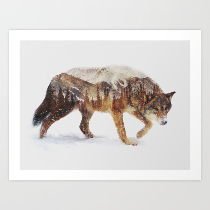 Arctic Wolf Art Print