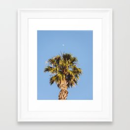 Palm Tree Moon Framed Art Print