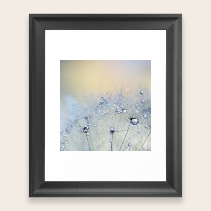 flower photography dandelion pastel yellow baby blue floral Framed
