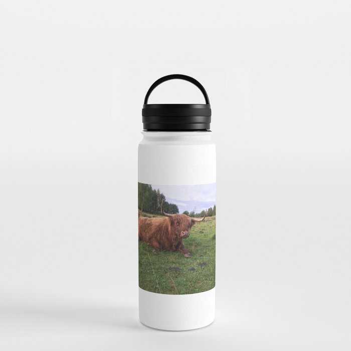 Fluffy Highland Cattle Cow 1187 Water Bottle