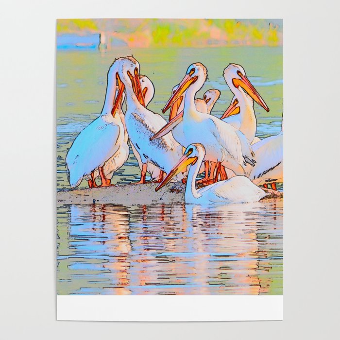 White Pelicans Poster