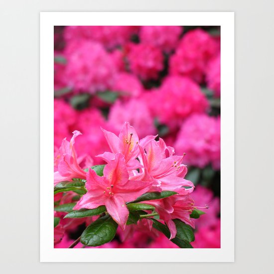 One of a Kind Art Print