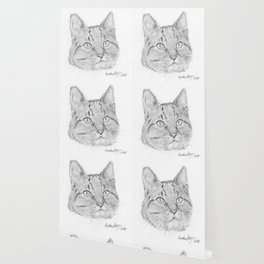 Cat Face Realistic Pencil Sketch Drawing Wallpaper By Kyokobartley