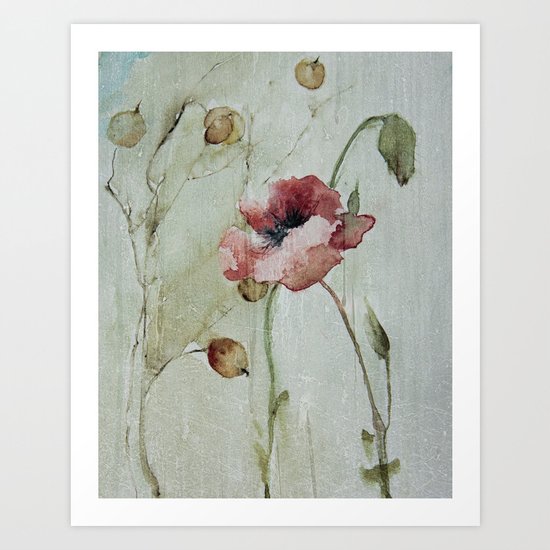 poppy Art Print
