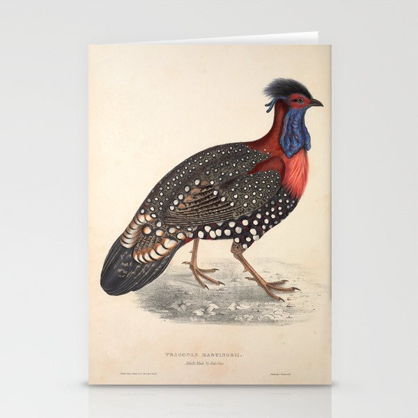 Western tragopan by Elizabeth Gould from "A Century of Birds from the Himalaya Mountains," 1831 Stationery Cards