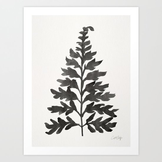 Black Fern Art Print