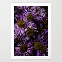lilac flowers Art Print | Garden, Sunny, Color, Closeup, Photo, Nature, Purple, Sun, Summer, Flowes 