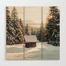 Snowy Winter in the Woods of Austria / Fine art landscape on film Art Print Wood Wall Art