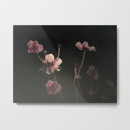 THE FIRST LIGHT Metal Print