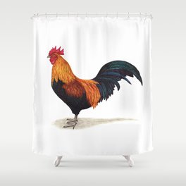 Rooster by Lars Furtwaengler | Ink Pen | 2011 Shower Curtain