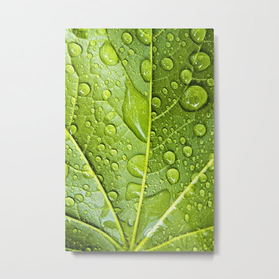 refresh Metal Print