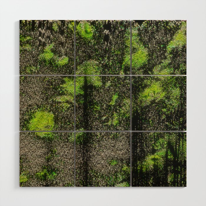 Jungle Glitch Distortion Wood Wall Art