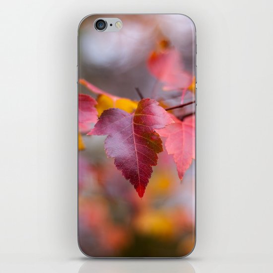 Red iPhone & iPod Skin