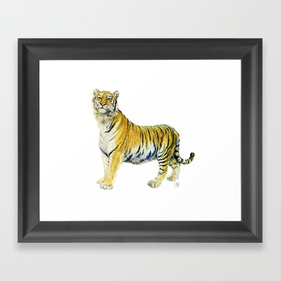 Tiger Framed Art Print