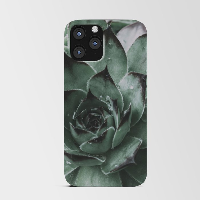 Botanical No. 17 Moody Succulent Photography iPhone Card Case