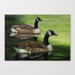 Canada Geese Canvas Print