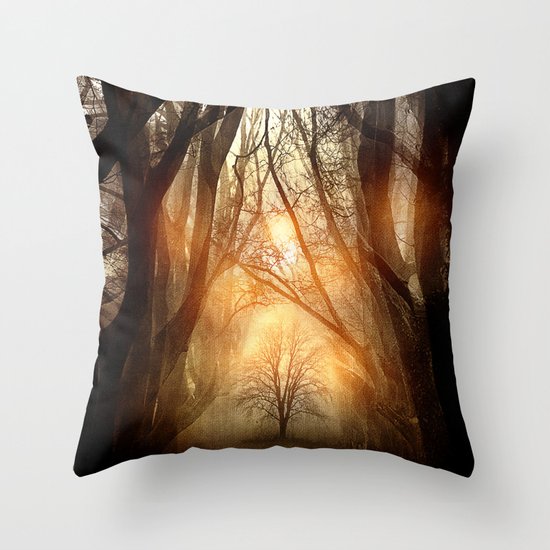 Searching Dreams Lost Throw Pillow