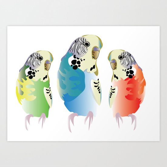 The three budgies Art Print