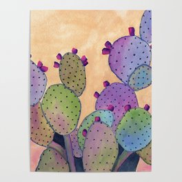 Colorful Cactus Poster