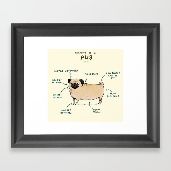 Anatomy of a Pug Framed Art Print