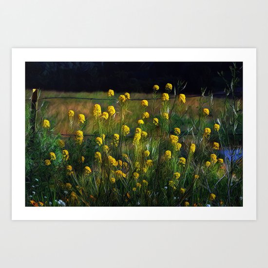 Along the Fence Row Art Print
