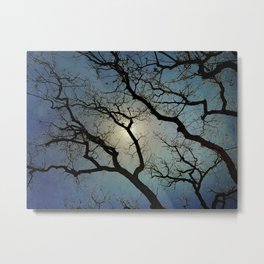 Oak Tree at Dusk Metal Print | Lookingup, Eerie, Spooky, Dusk, Digital, Photo, Winter, Evening, Foggy, Film 