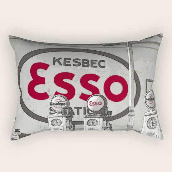 Nostalgia Rectangular Pillow