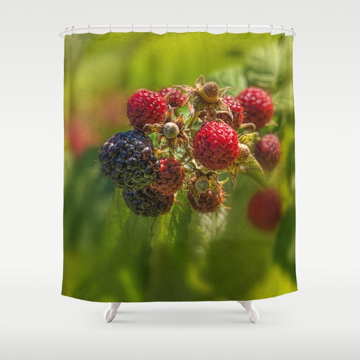 Rasberry Harvest Shower Curtain