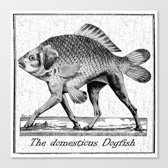 If fishes had legs Canvas Print