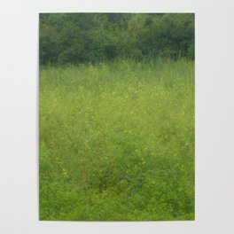 A Walk In The Nature Park Poster