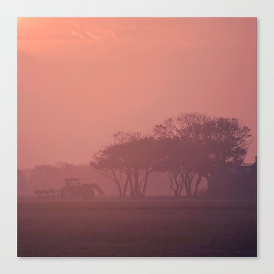 Morning activity #9 Canvas Print