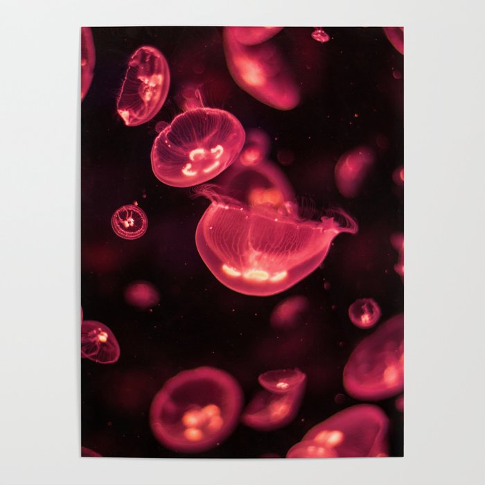 Red Moon Jellies Poster