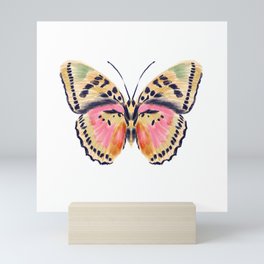 Butterfly Study no. 14 - butterfly art, watercolor butterfly, watercolor butterflies, painted butterfly, butterfly art, pink and yellow butterfly Mini Art Print