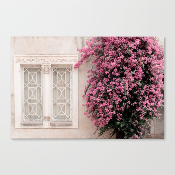 Pretty Window - Bougainvillea Flowers - Minimalist Portugal Travel Photography By Ingrid Beddoes Canvas Print