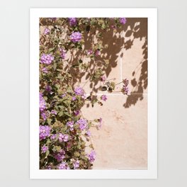 Lila Flowers In The Sun Summer Photo | Colorful Floral Travel Photography In France Art Print | Colors Of Europe Art Print
