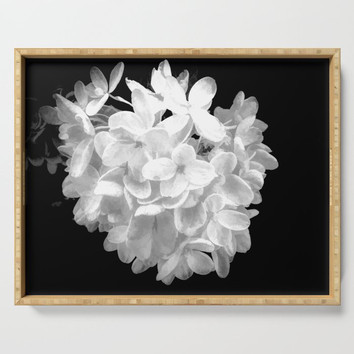 Hydrangea "SnowBall" In Black And White Serving Tray
