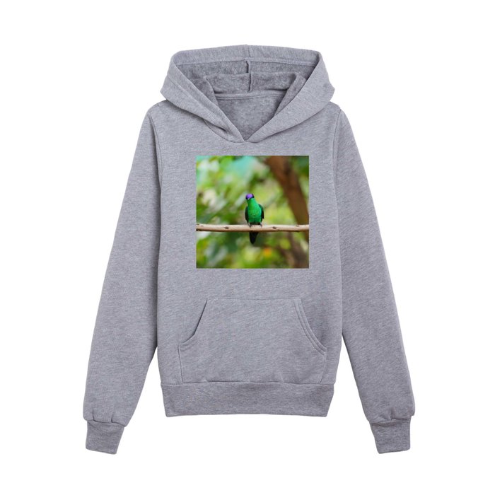 Violetcapped Woodnymph Hummingbird Kids Pullover Hoodie