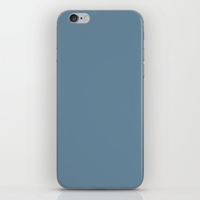 Seal Pup iPhone Skin