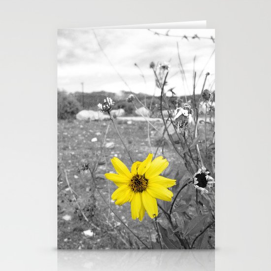 Stand Out Stationery Cards